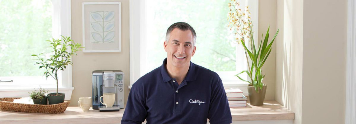 culligan water expert in the kitchen