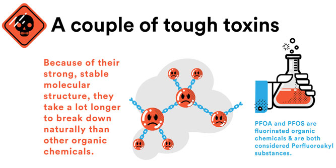 PFOA and PFOS are tough toxins