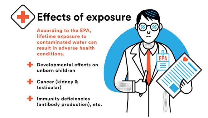 Effects of PFOA & PFOS exposure