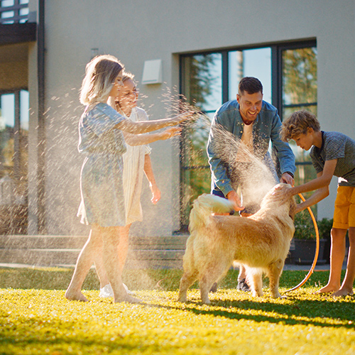 family with dog playing with water hose