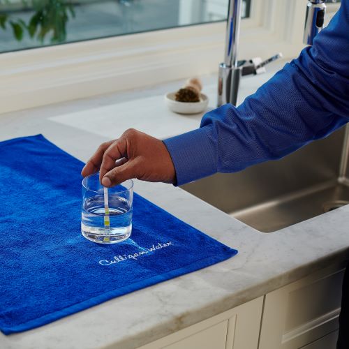 Culligan water expert conducts pH water testing in the home