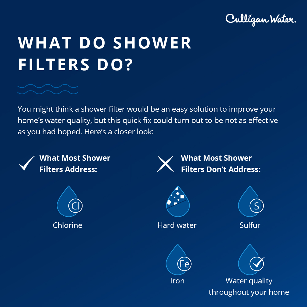 list of what shower filters can and can't do