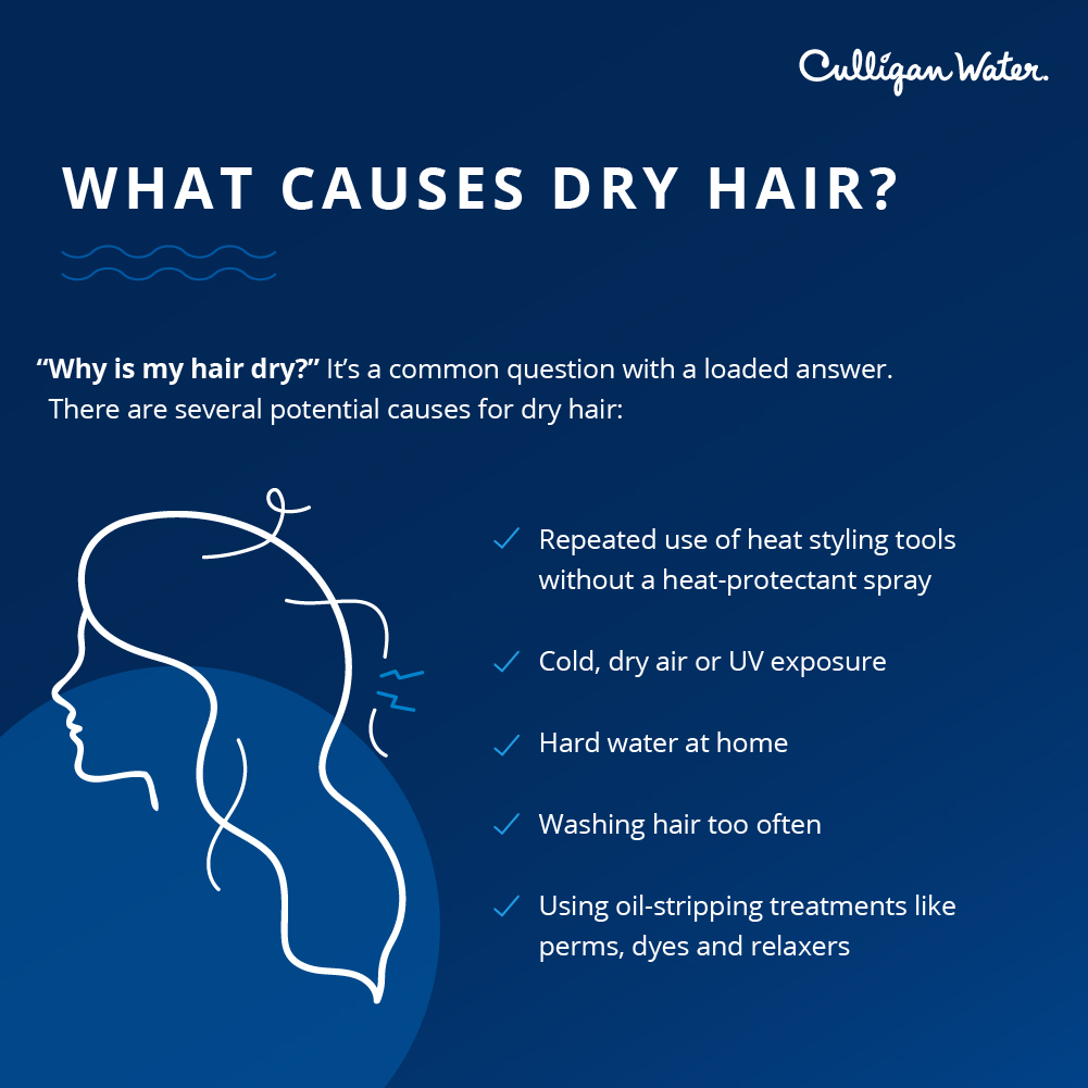 Some Of The Most Major Causes Of Dry And Frizzy Hair – MyCocoSoul
